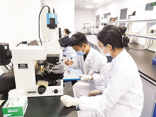 保定高新區(qū)技術(shù)創(chuàng)業(yè)服務(wù)中心累計(jì)培育高新技術(shù)企業(yè)225家，信息技術(shù)咨詢服務(wù)引領(lǐng)創(chuàng)新